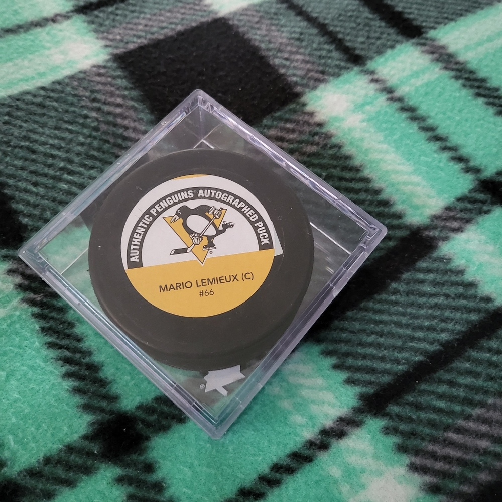 Hockey Puck
